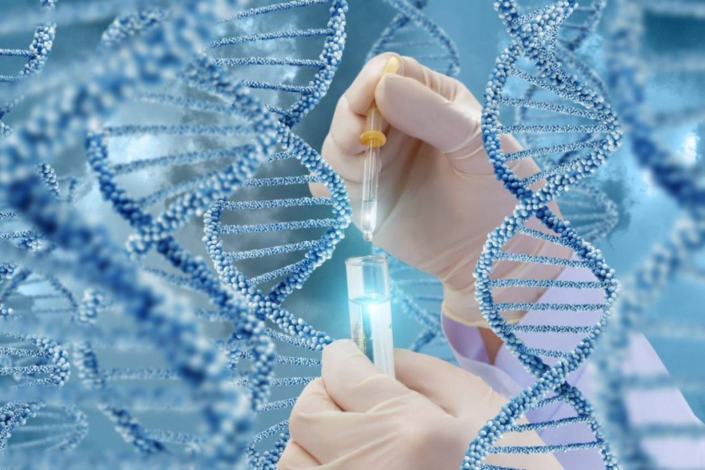 Image Showing testing of DNA molecules in a laboratory