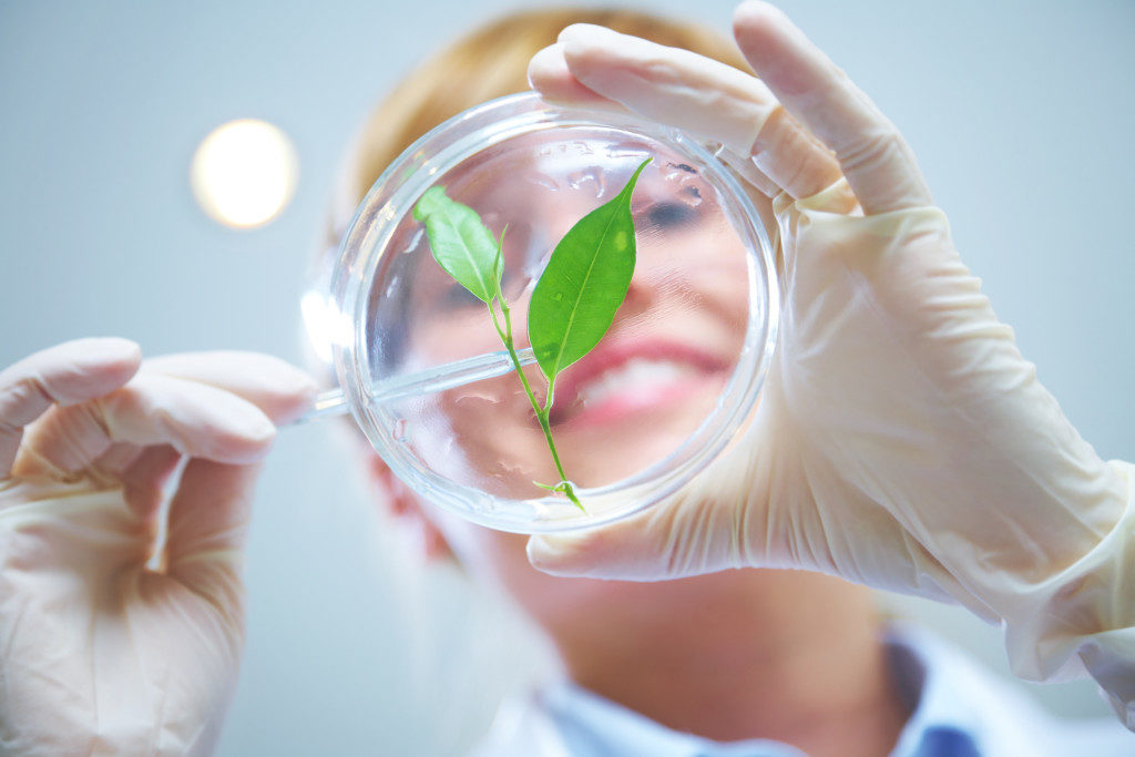 A Woman scientist holding a plant which placed on a glassware