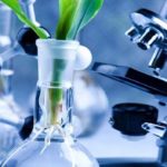 Through Microscope, testing plants in a modern laboratory